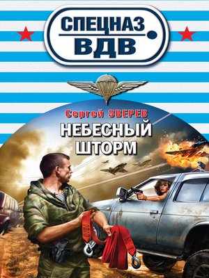 cover image of Небесный шторм